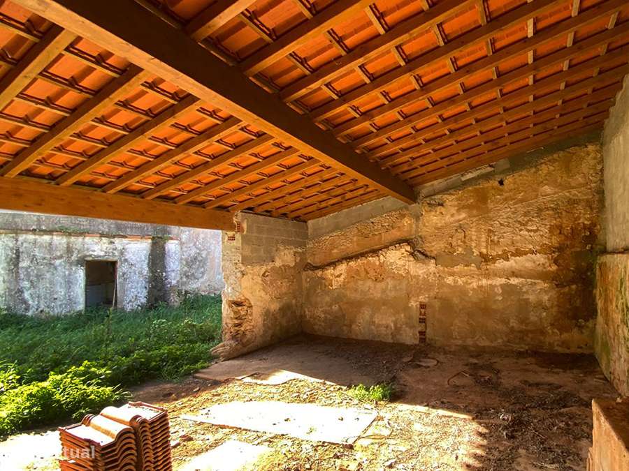 Adega e anexos para recuperar, com logradouro, a 10 min de C da Rainha-11