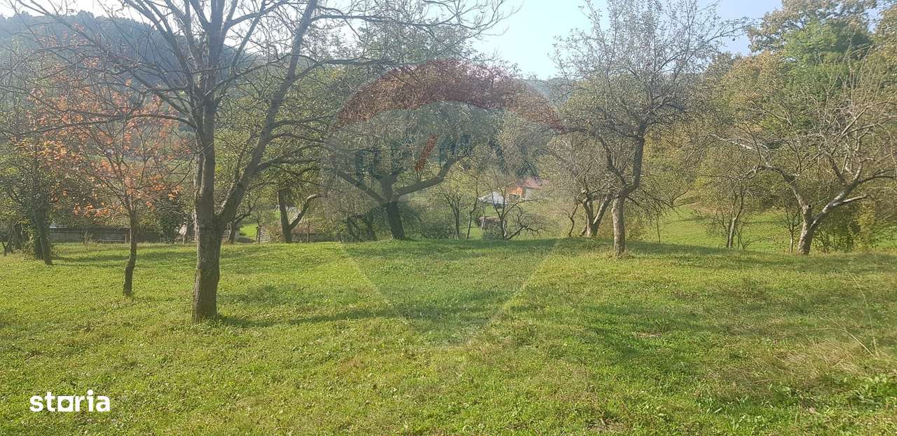 Casă si teren 1.6 ha de vânzare, în Rona de Jos-3