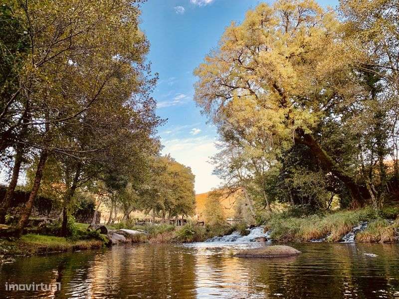 Quintinha no alto minho - Grande imagem: 4/12