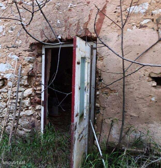 Moradia para reconstrução, com espaço exterior - Barão de São Miguel - Grande imagem: 4/6