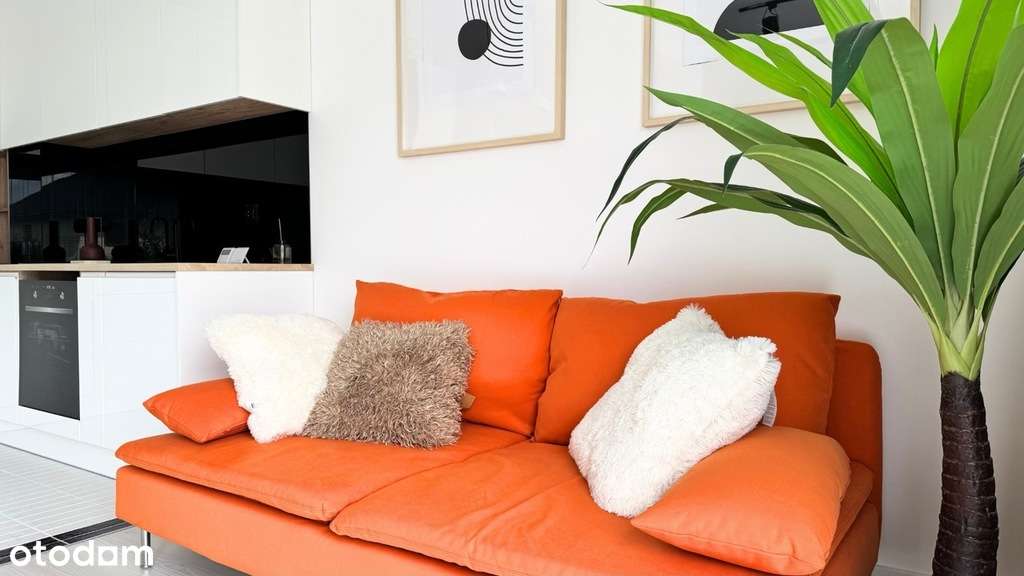 Północ | Gotowe M z ogrodem | Niezamieszkałe - Pełny obrazek: 2/9