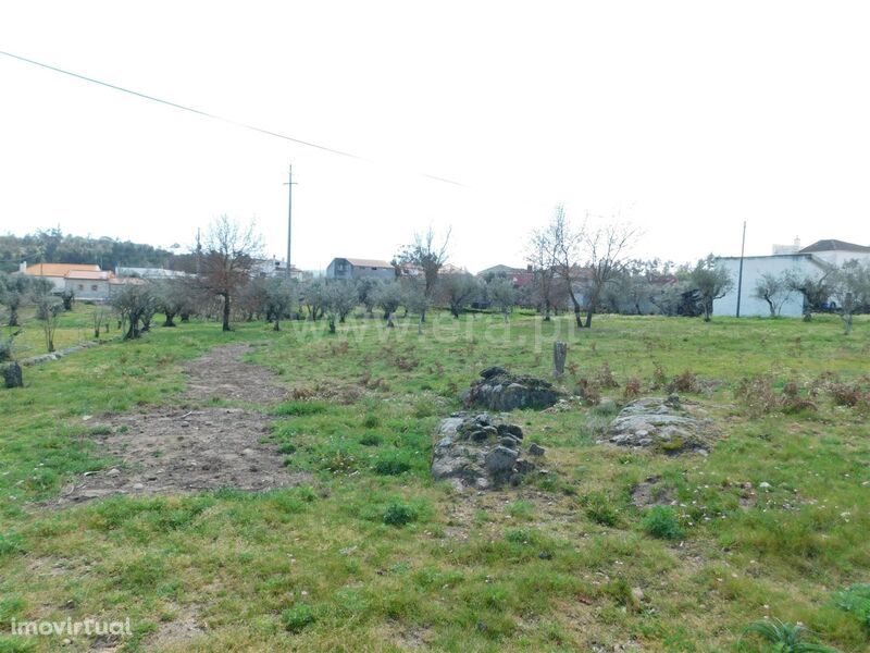 Terreno / Gouveia, Cativelos