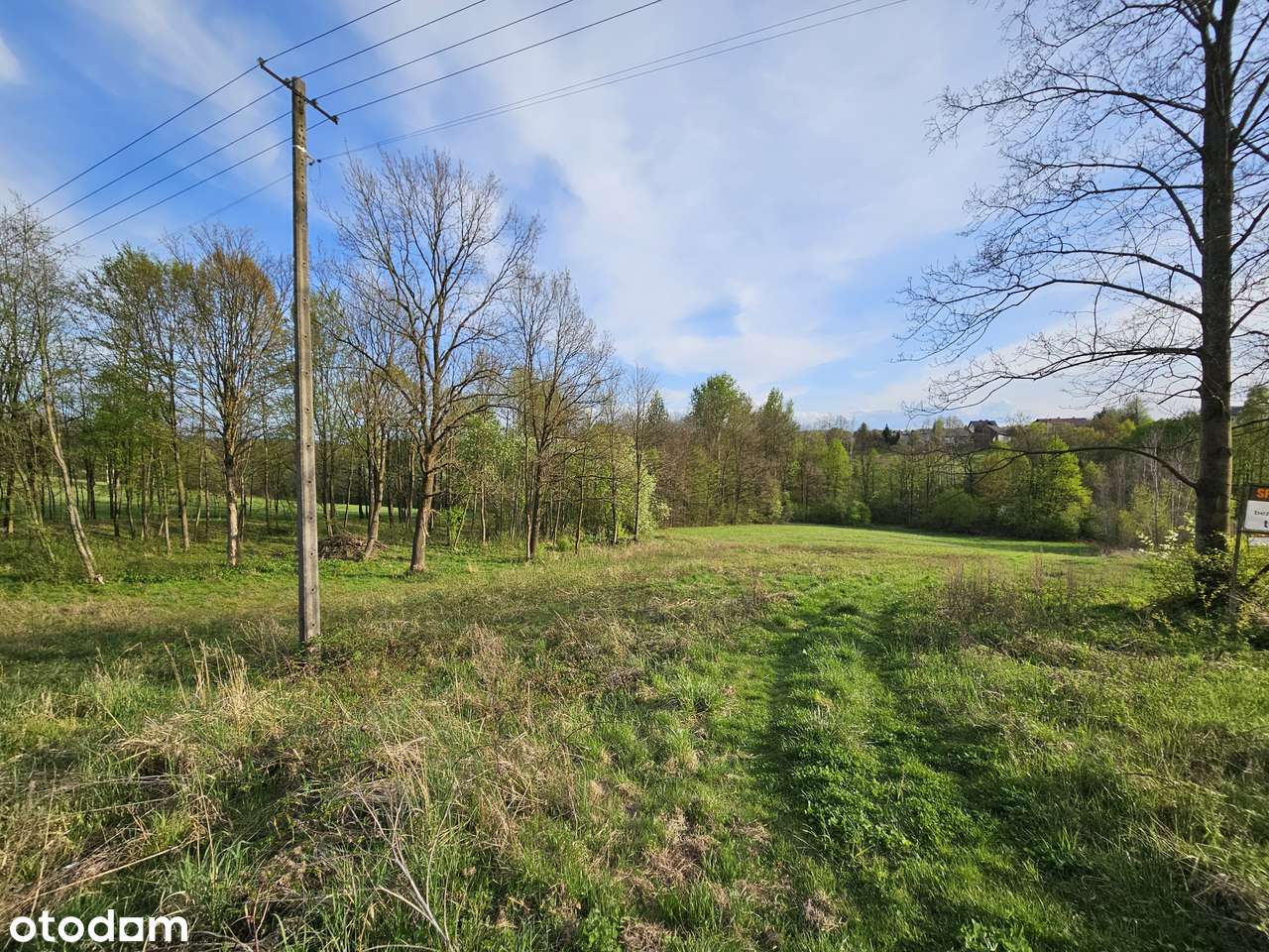 Działka bud-leśna (15arów budowlane) z pięknym widokiem pod górą Żarek - Pełny obrazek: 5/9