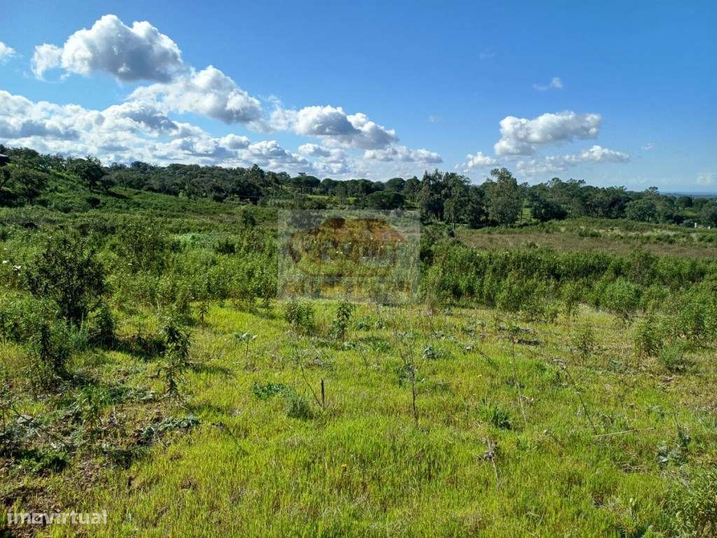 Pronto a construir - PROJECTO APROVADO e vista mar-12