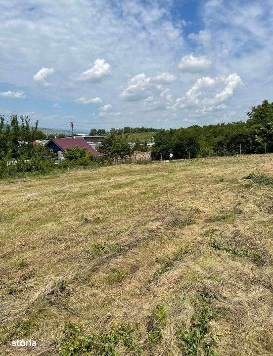 Teren intravilan  1763 mp - Jucu de Sus - Cluj - Imagine principală: 4/6