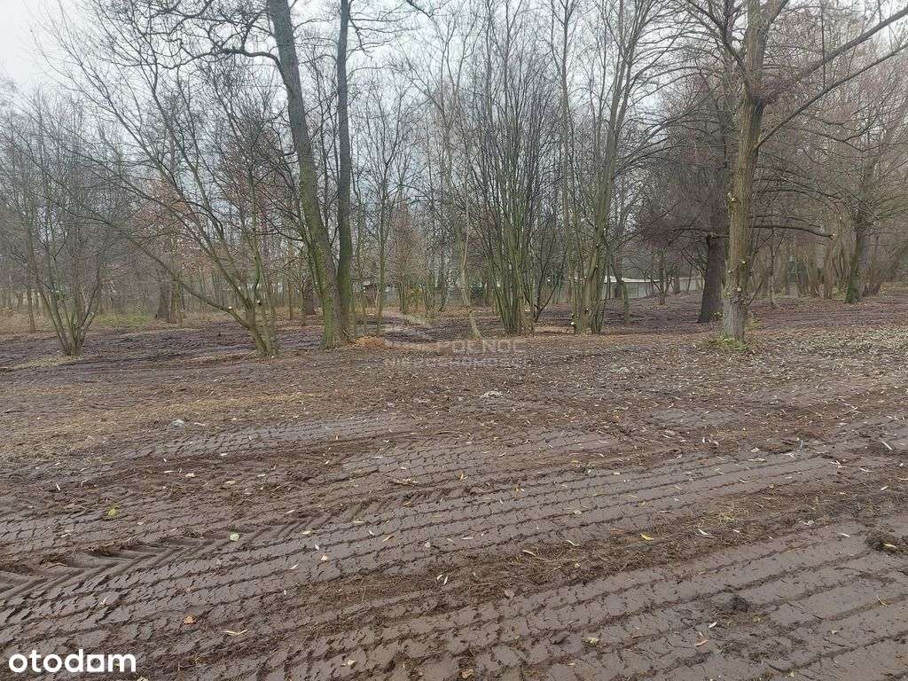 Działka 1500m2 w Milanówku - Pełny obrazek: 5/7