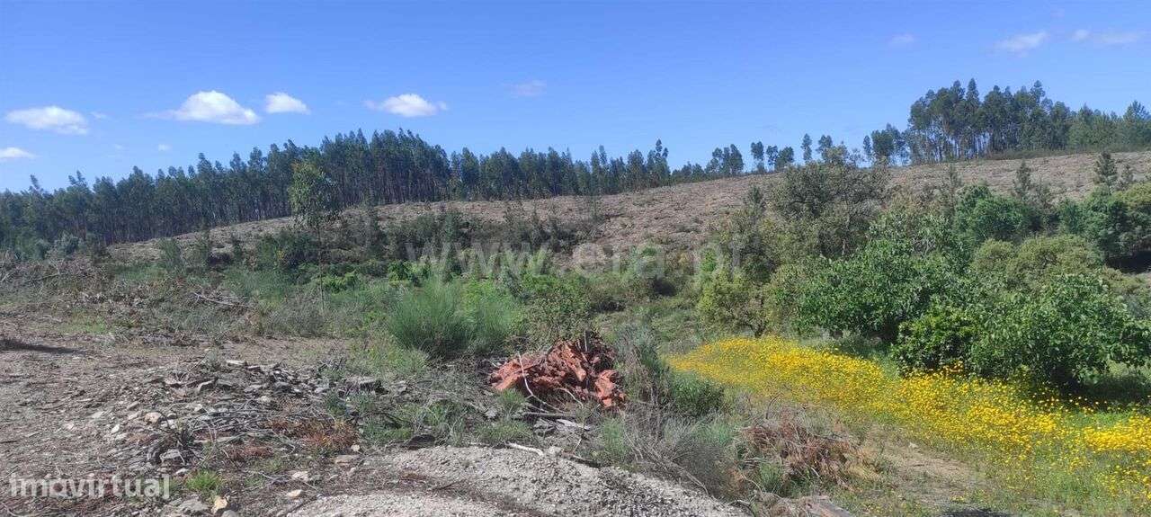 Quinta / Castelo Branco, São Vicente da Beira - Grande imagem: 3/11