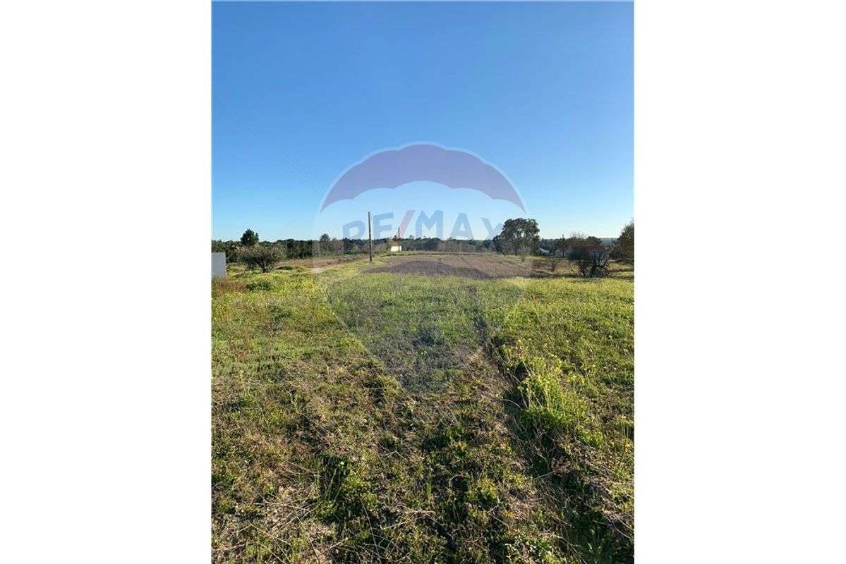 Terreno T0 para venda - Grande imagem: 5/8