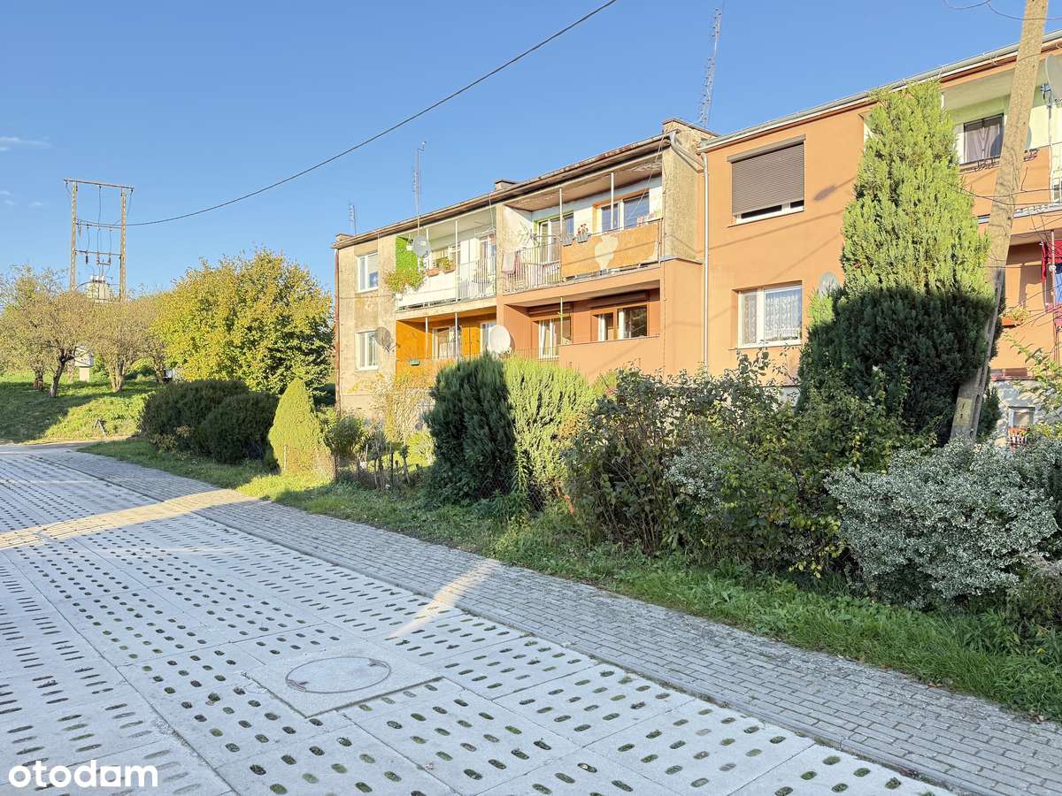 Rezerwacja. - Pełny obrazek: 4/19