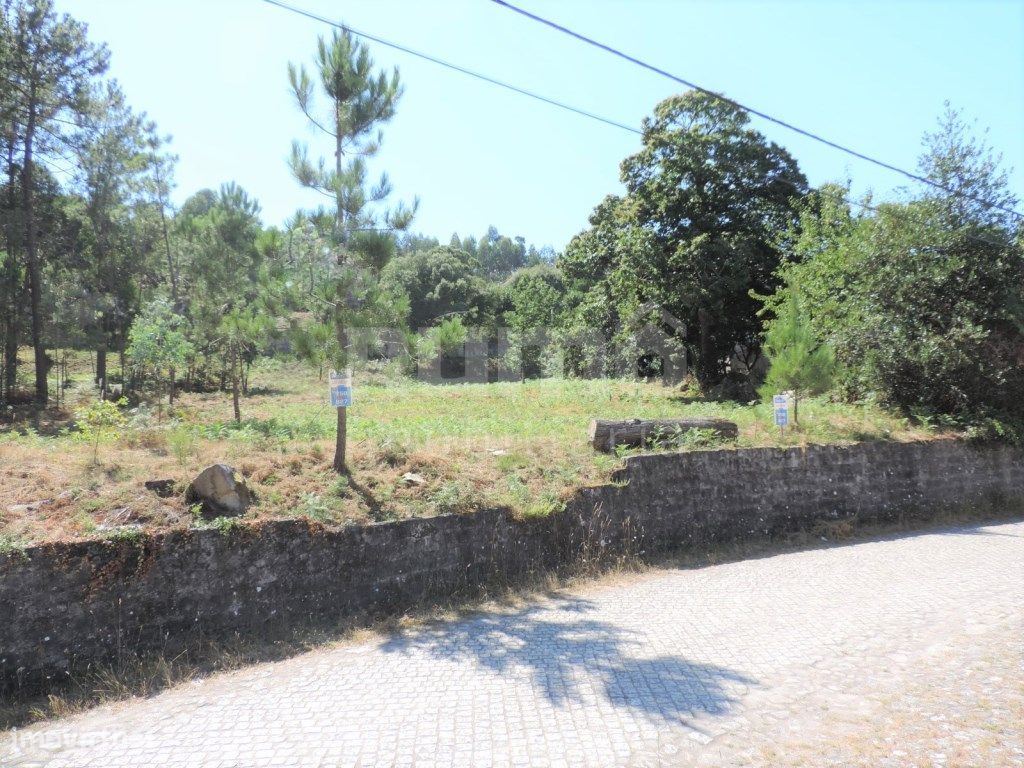 Terreno - Grande imagem: 1/7