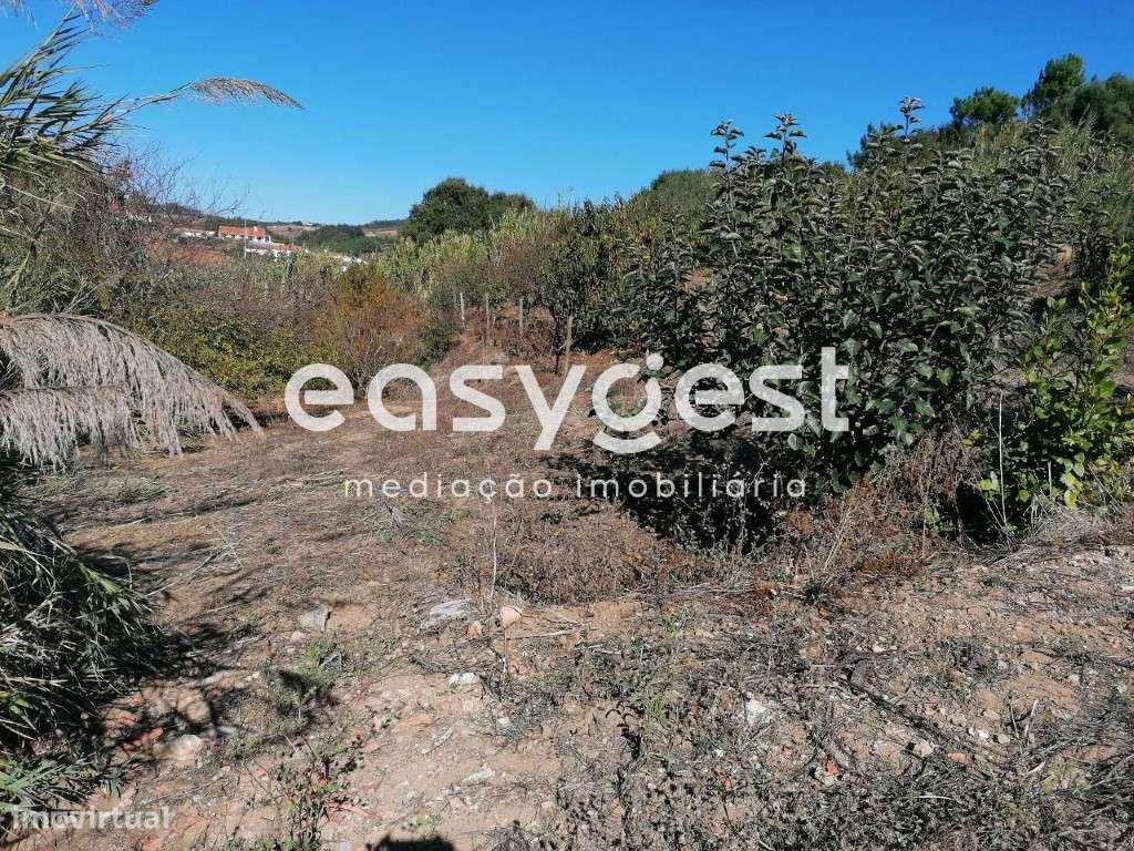 Projeto de Empreendimento Turístico no espaço rural com piscina - Grande imagem: 5/9