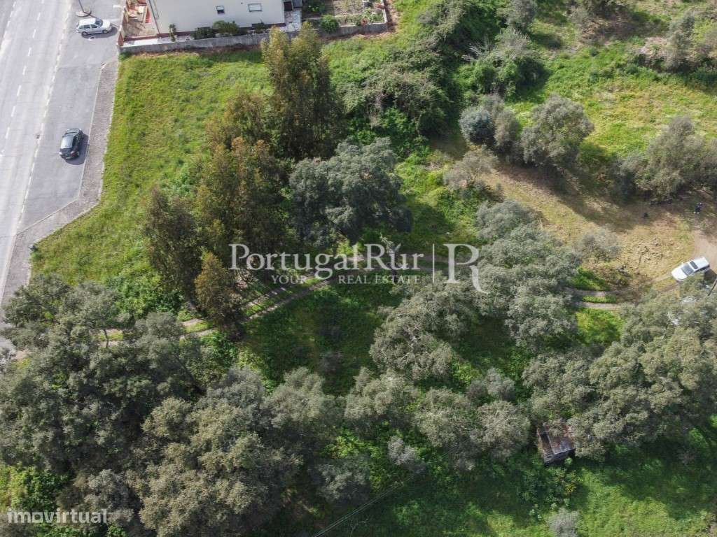 Terreno para construção em Proença-a-Nova - Grande imagem: 4/11