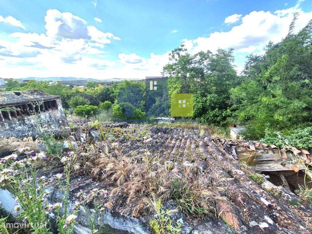 Prédio  Misto, com 0,7250 Ha | MOURA-20