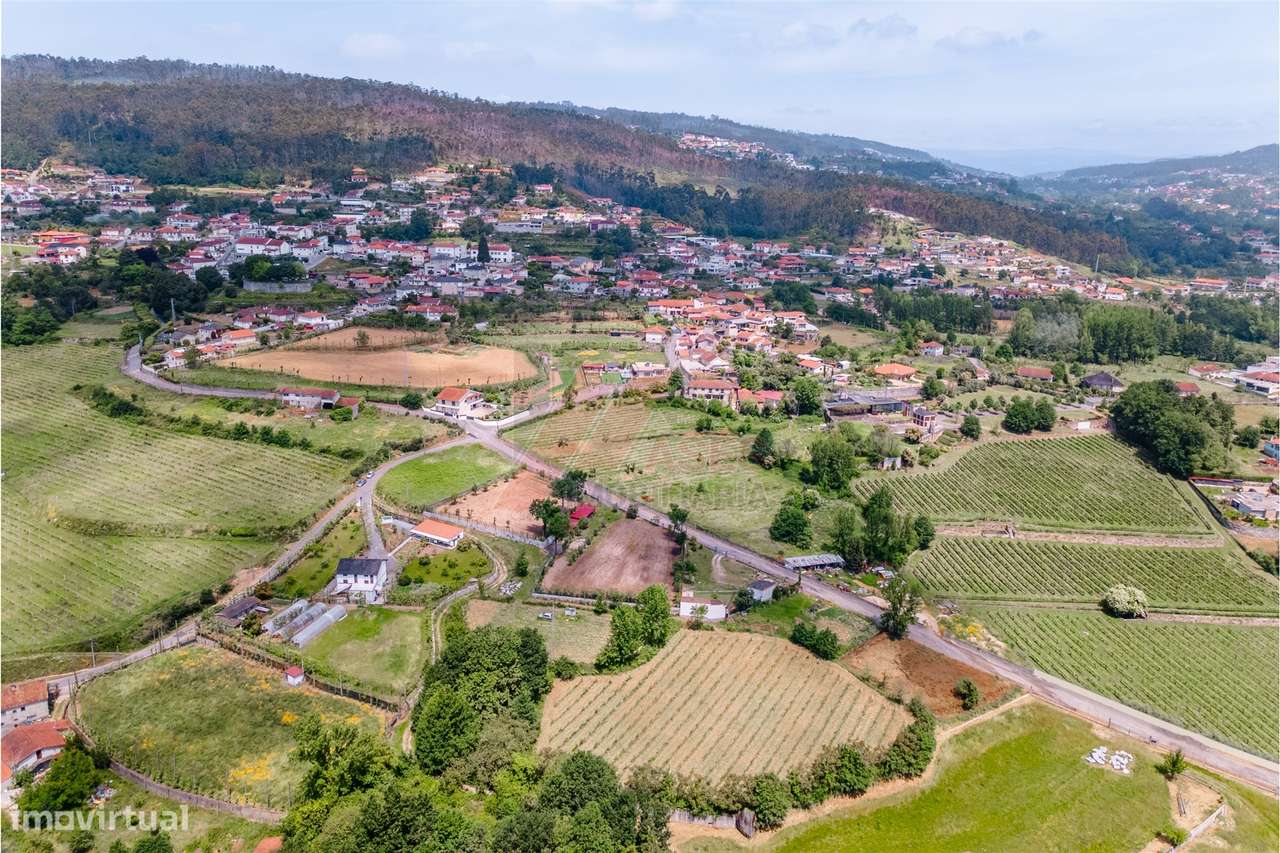 Terreno a 3 km do Centro de Fafe com Vinha e Nascente em Golães- Fafe!-6