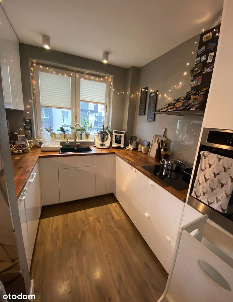 Widne mieszkanie - duże okna z trzech stron! - Pełny obrazek: 5/12