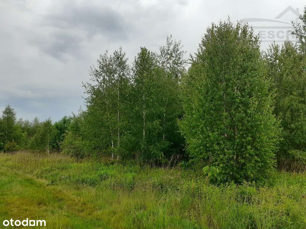 Działka siedliskowa 11213 m² Baszkówka