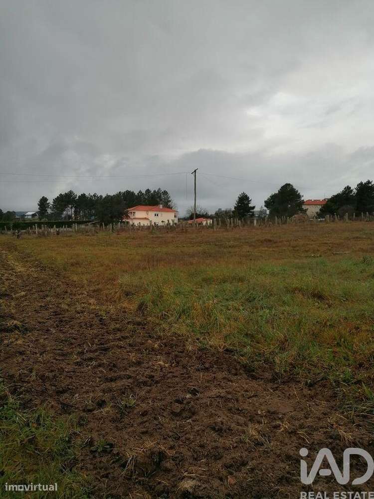 Terreno para construção em Vale de Anta de 9521,00 m2 - Grande imagem: 5/5