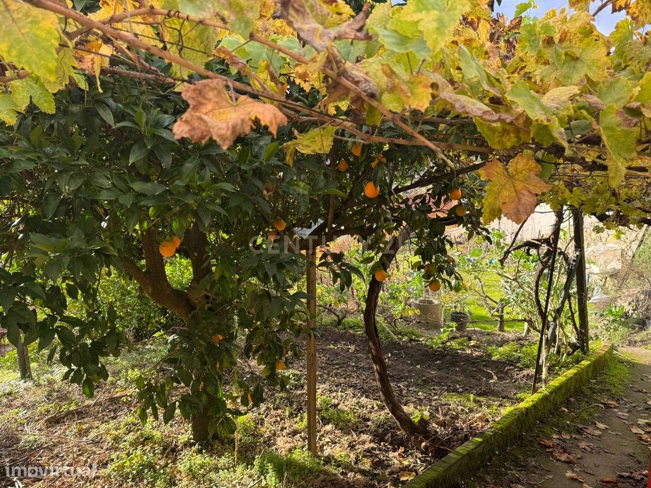 Casa para Recuperar em Alvações do Corgo, Vila Real - Grande imagem: 4/7