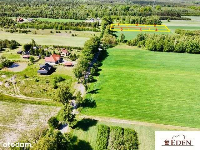 Na sprzedaż 6 działek budowlanych w Chlewiskach, gm. Kotuń. - Pełny obrazek: 4/11