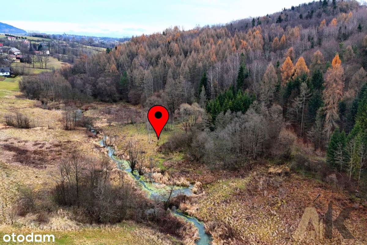 Działka Rekreacyjna W Cichym Zakątku Mszalnicy - Pełny obrazek: 4/19