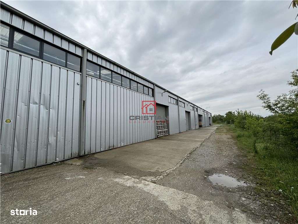 Vanzare depozithalaspatiu industrialshowroombirouri Otopeni - Balotest - Imagine principală: 4/17