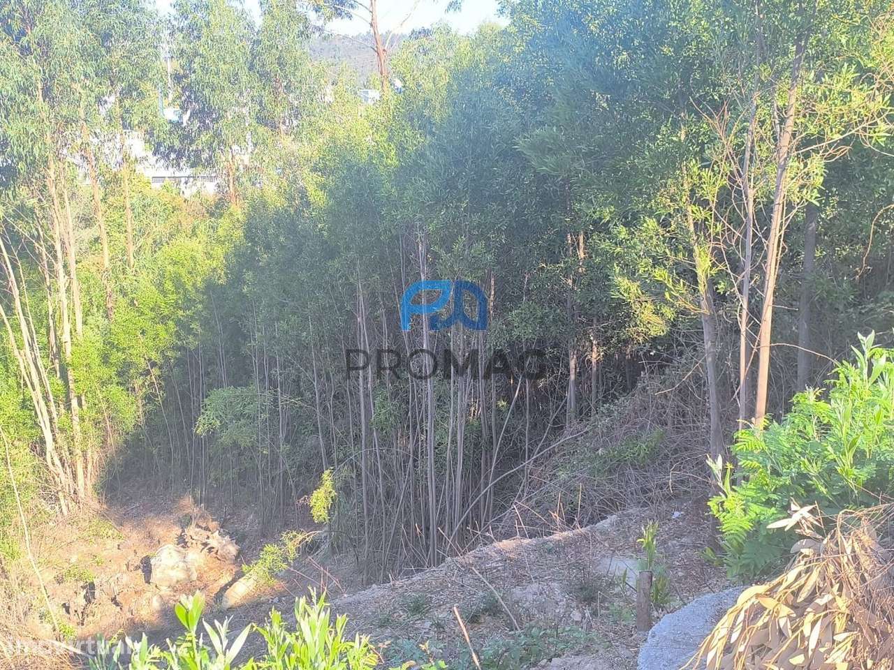 Lote Urbano com 501 m² | São Pedro da Cova, Gondomar-7