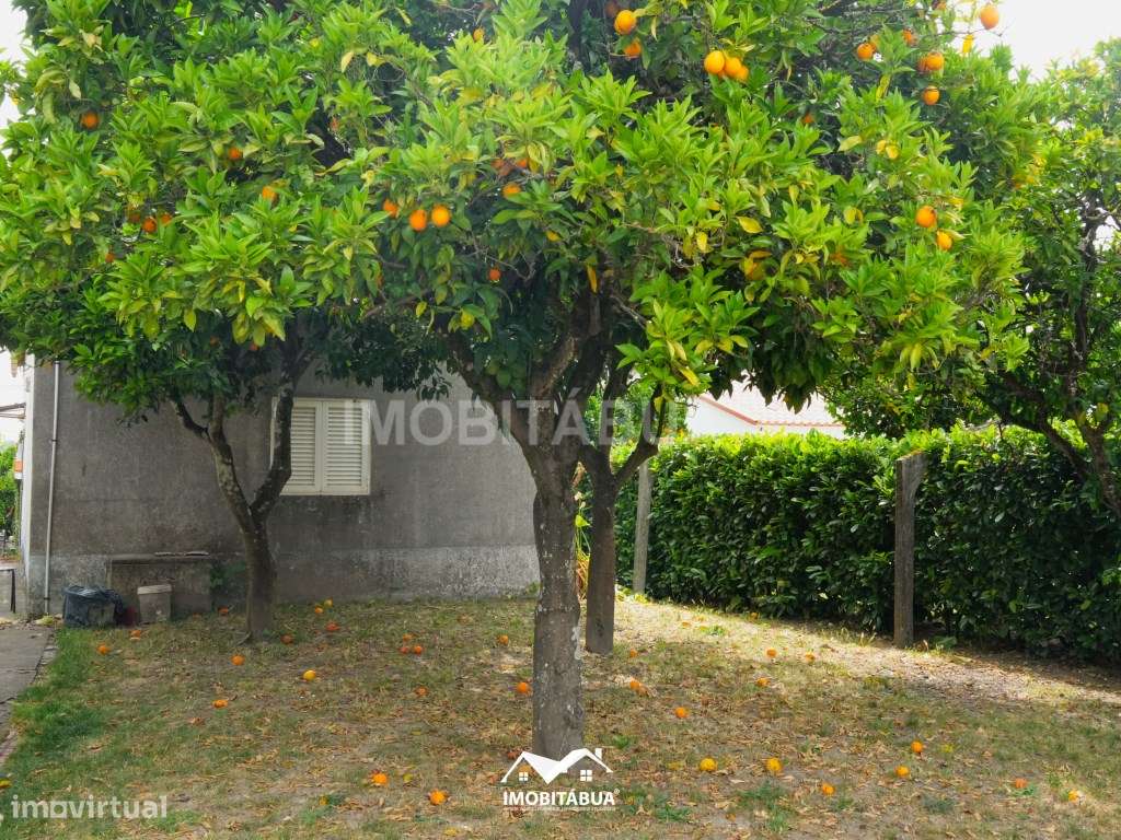 Moradia T2 com terreno, terraço e um anexo.-9