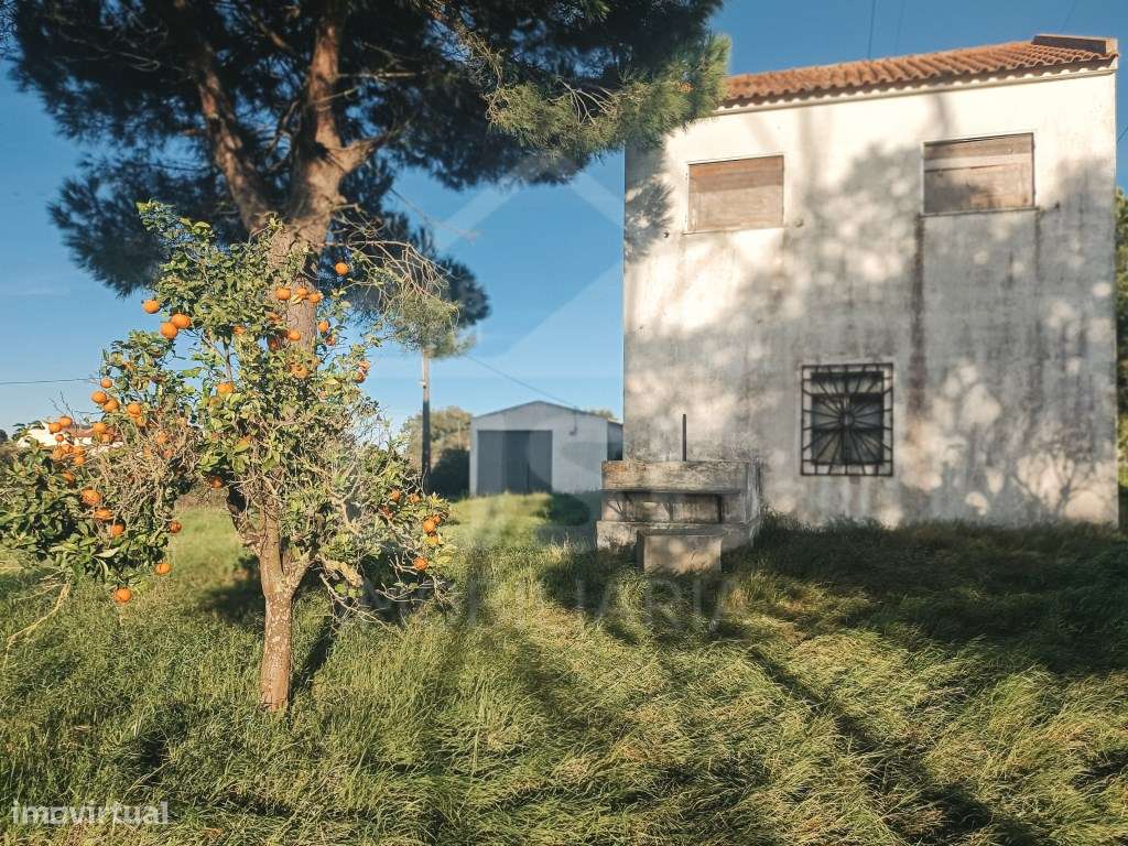 Moradia para remodelação em Samora Correia - Grande imagem: 3/26