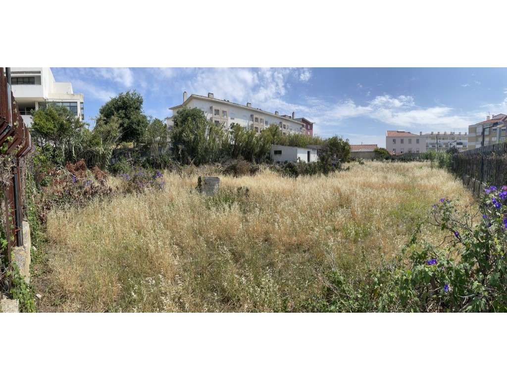 Terreno rústico com 2000m2 na Ajuda - Grande imagem: 4/7