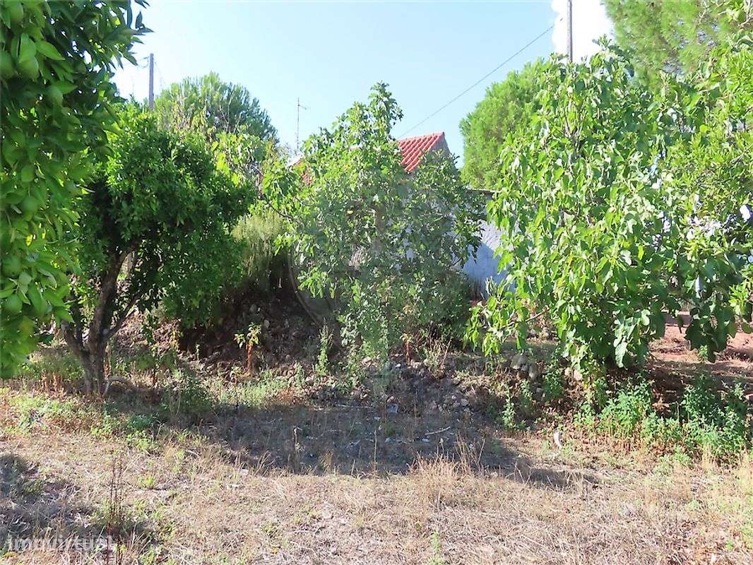 Quinta  para venda-26