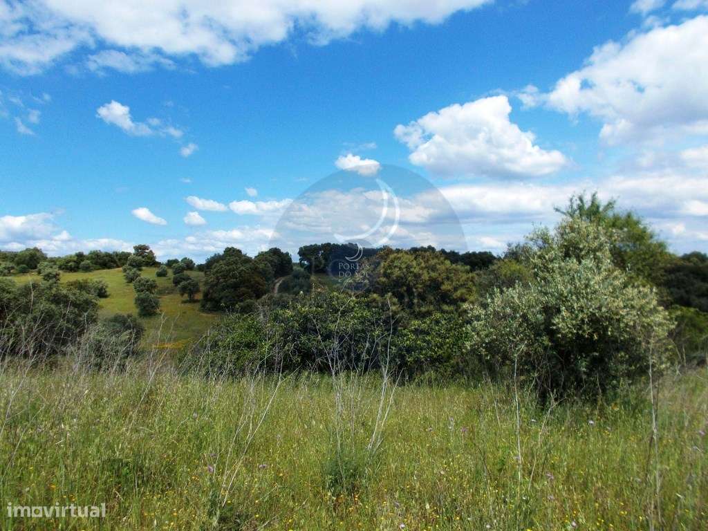 Terreno comercial de 13.800 m2 c/ poço - Grande imagem: 5/10