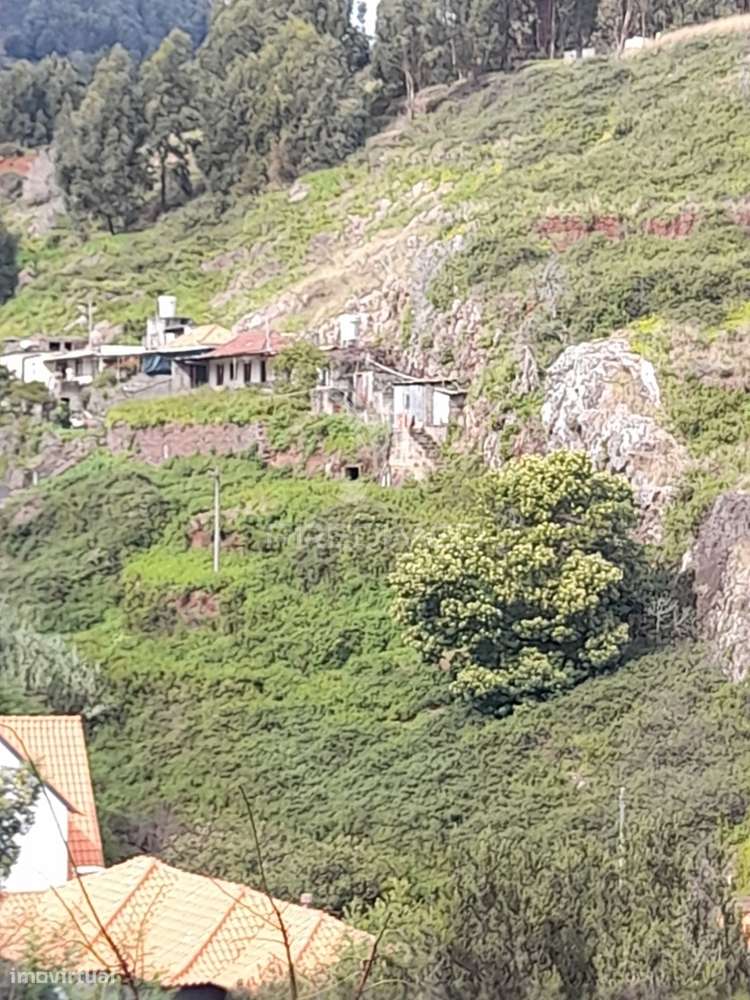 Terreno Rústico em Gaula 1.240 metros - Grande imagem: 5/7