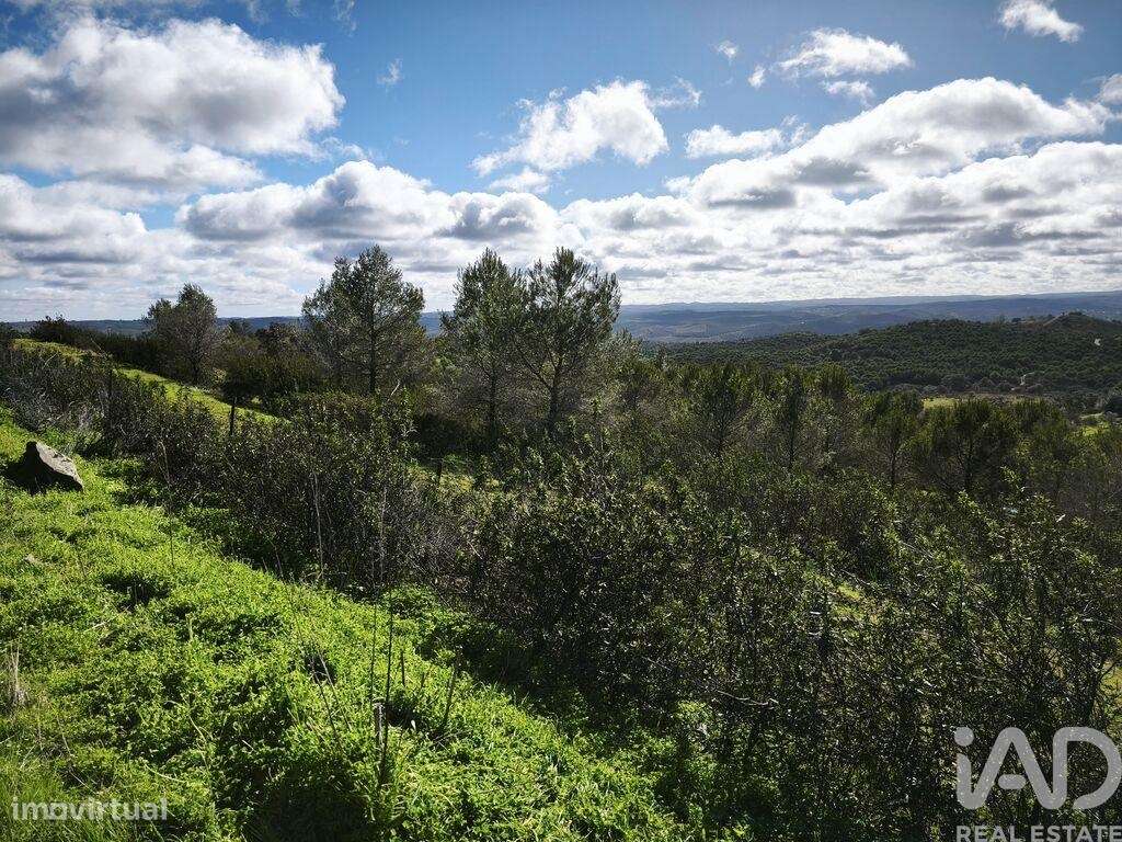 Terreno Agrícola em São Miguel do Pinheiro, São Pedro de Solis e São S - Grande imagem: 2/40