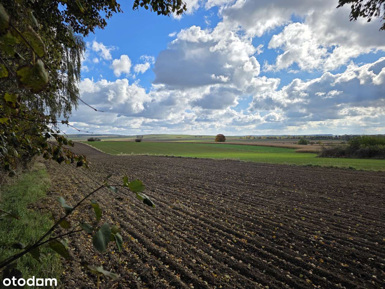 Działka budowlana MR_20 km do Lublina_piękny widok-2