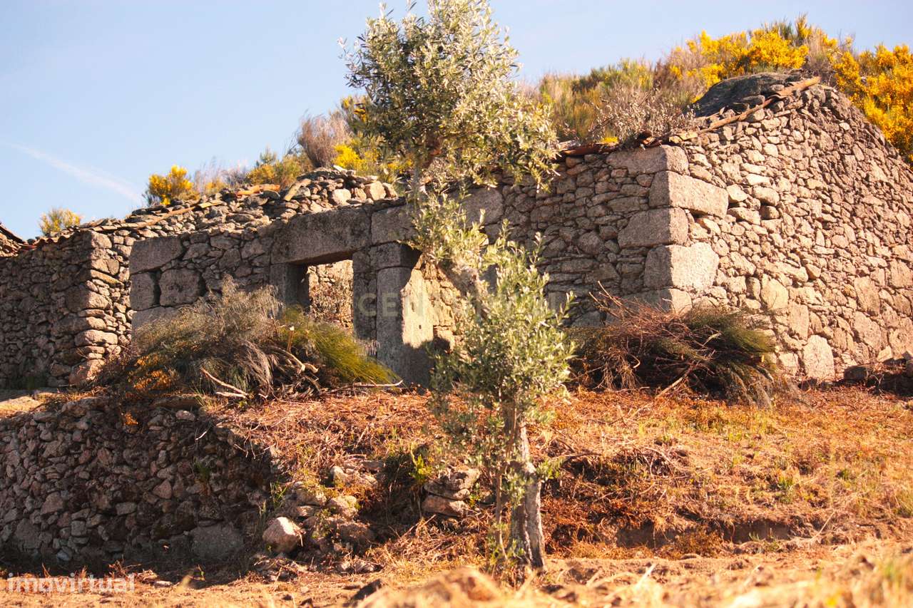 Terreno rústico São Vicente da Beira - Grande imagem: 3/35