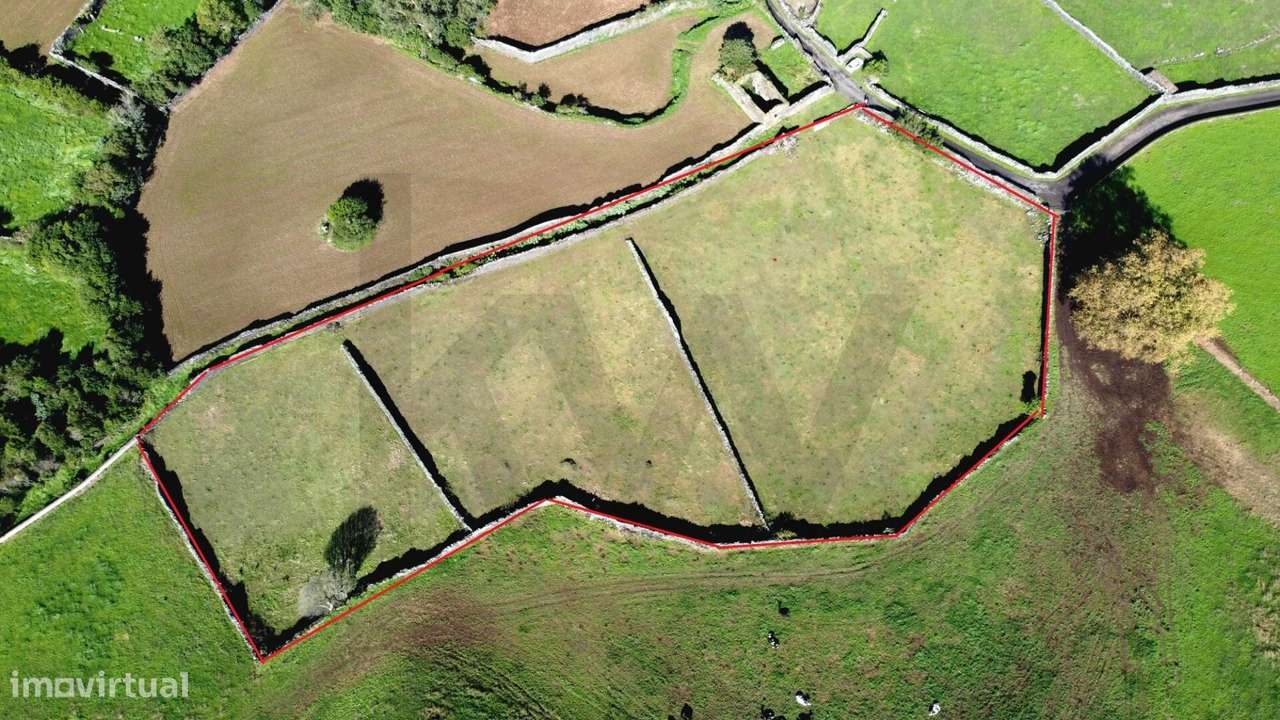 Terreno Rústico com 8.780 m2 localizado no Pico do Alho - Ribeira Gran - Grande imagem: 3/14