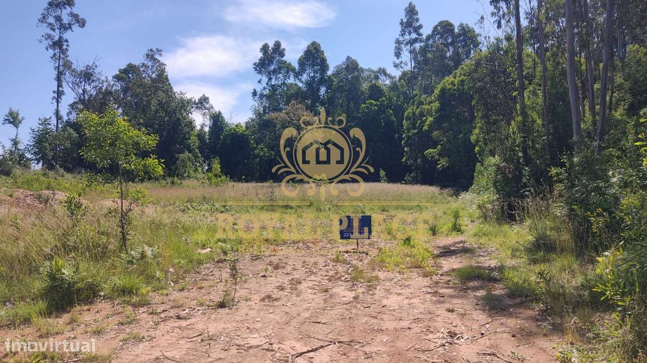 Terreno com 1200m2 em Santa Maria da Feira - Grande imagem: 2/6