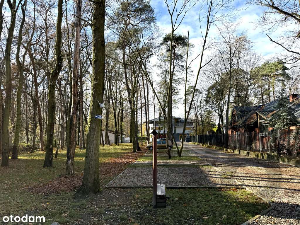 Komfortowe mieszkanie przy lesie - Pełny obrazek: 1/20