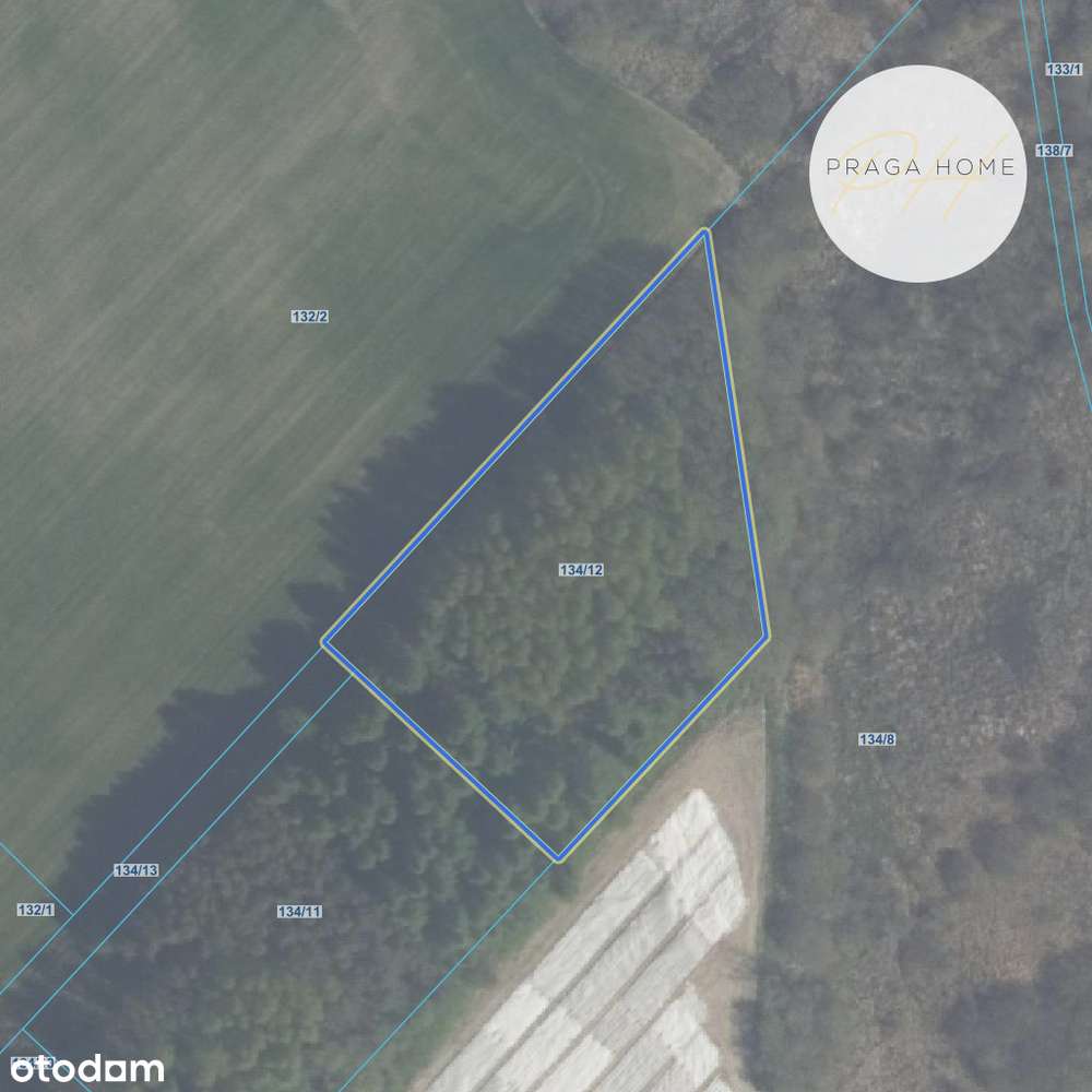 Działka Mazury Zwierzewo Ostróda - Pełny obrazek: 5/5