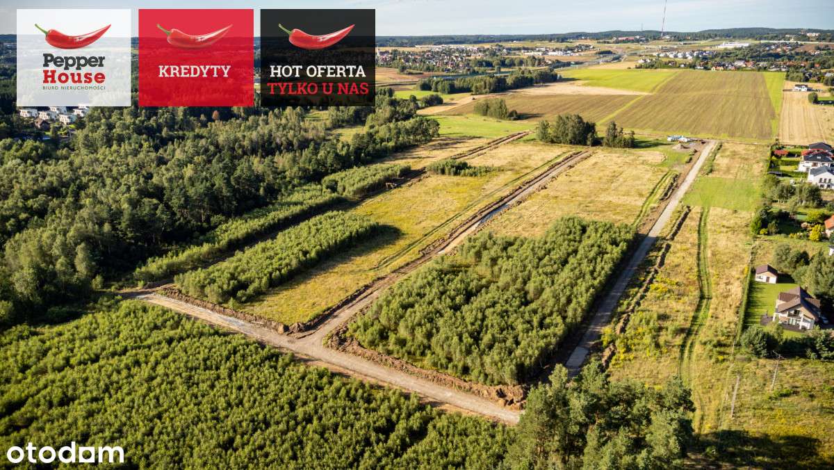 Wyjątkowa działka w Chwaszczynie - 1024 m² - Pełny obrazek: 4/6