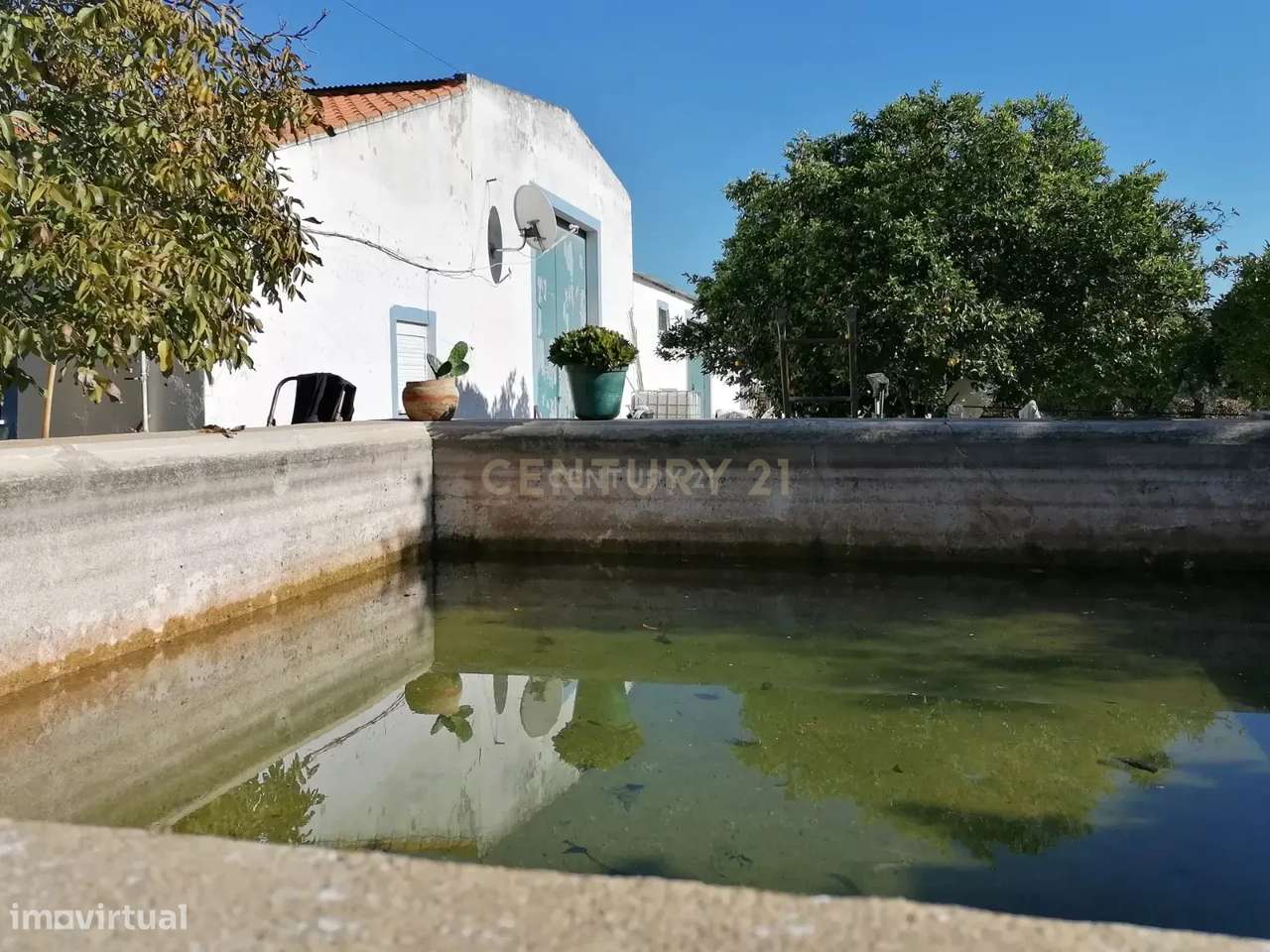 Quinta no Carapetal-16