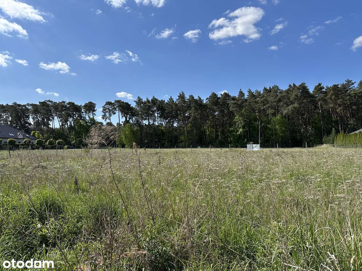 Piękna działka pod lasem na sprzedaż - Zakrzewo/Dąbrówka-7