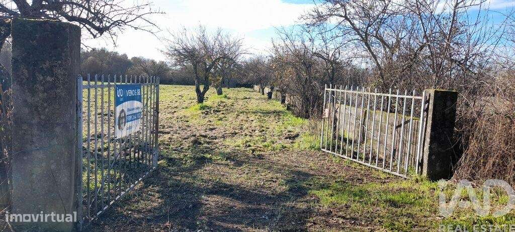 Terreno Agrícola em Três Povos - Grande imagem: 5/18