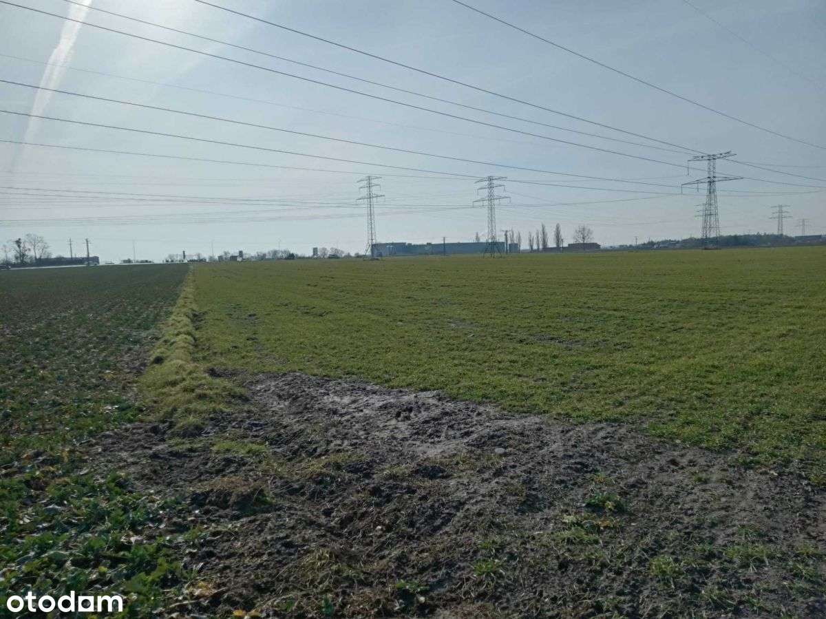 Działka - produkcja - magazyn - usługi - Pełny obrazek: 3/7