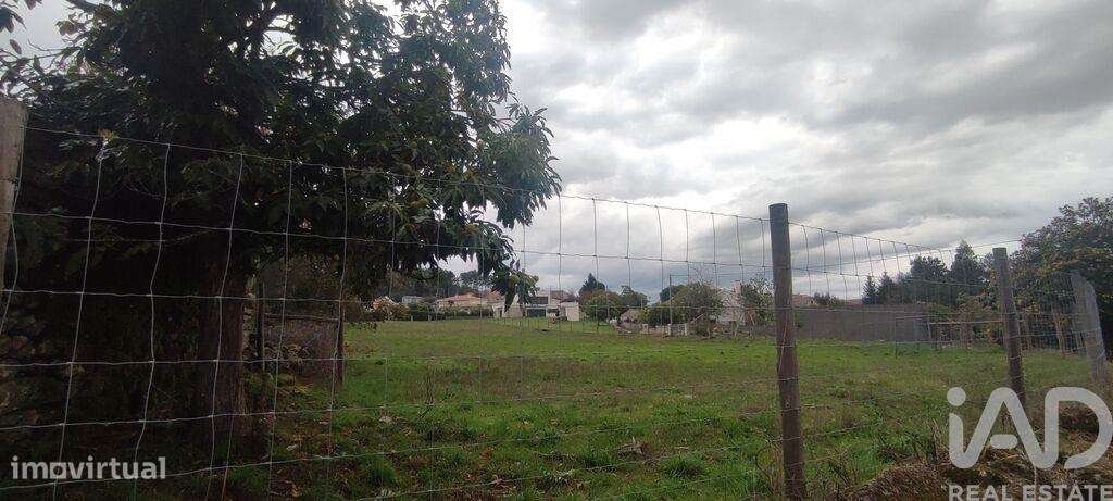 Terreno em Peva e Segões - Grande imagem: 5/6