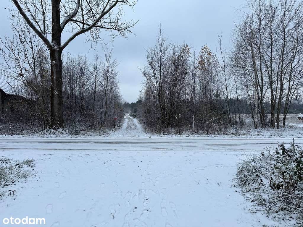 Działka w Róży pod dom i biznes - Pełny obrazek: 5/9
