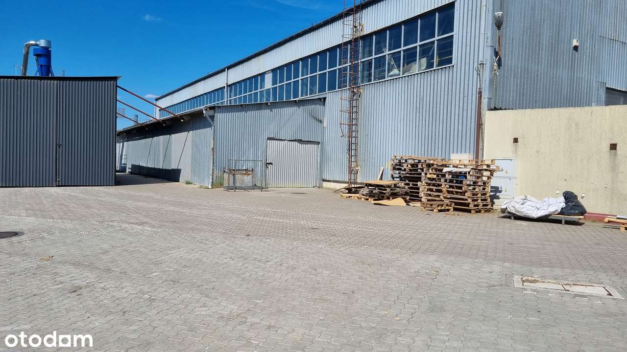 Nieruchomosć przemysłowa Ostrowiec Św. Boernera 11 - Pełny obrazek: 5/9