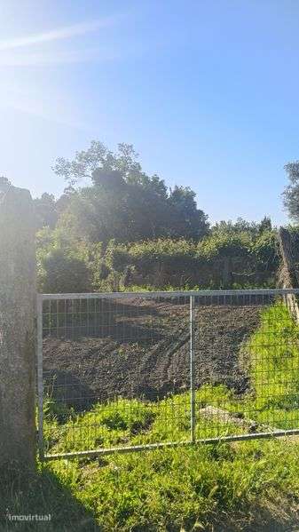 Arrendo terreno agrícola - Grande imagem: 3/4