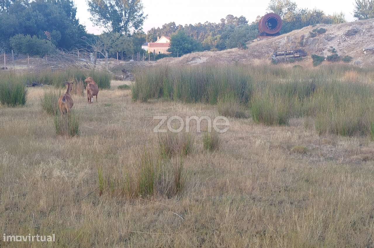 Herdade com três lagos, venha conhecer Oportunidade Única - Grande imagem: 3/29