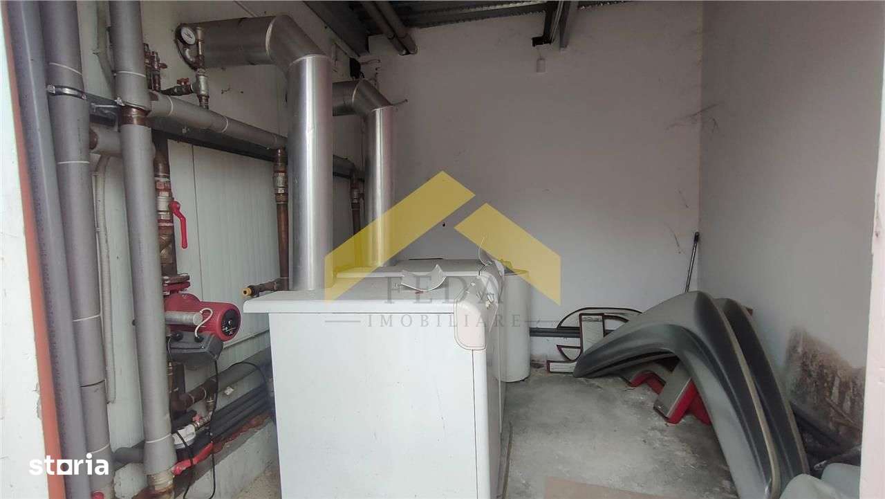 Showroom + hala | 5,100 mp teren Aradul Nou-7